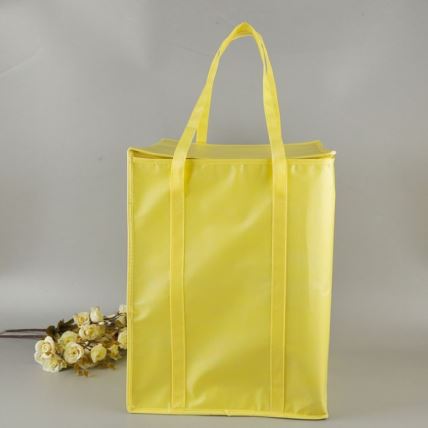 Cooler Bag Fast Food Bag Thermal Bag Big Capacity Cooler Bag Ice Bag Fashion Cooler Bag for Fast Food Delivery China Manufacture