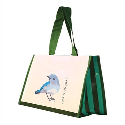 Best Laminated PP Woven Shopping Bags