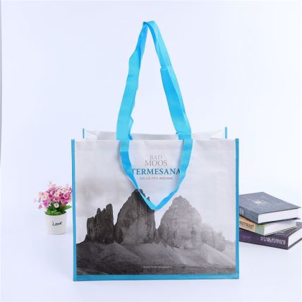 PP Woven Shopping Bag Recycled BOPP Laminated Non Woven Promotional (PP-001)